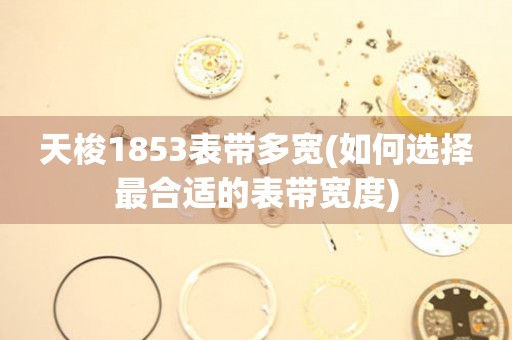 天梭1853表帶多寬(如何選擇最合適的表帶寬度)