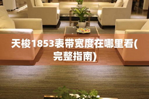 天梭1853表帶寬度在哪里看(完整指南)