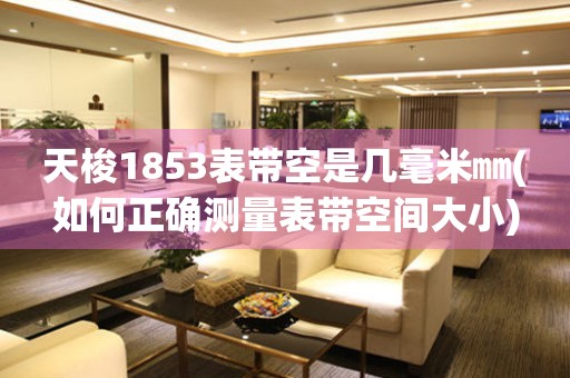 天梭1853表帶空是幾毫米㎜(如何正確測量表帶空間大小)