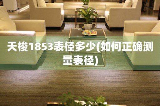 天梭1853表徑多少(如何正確測量表徑)