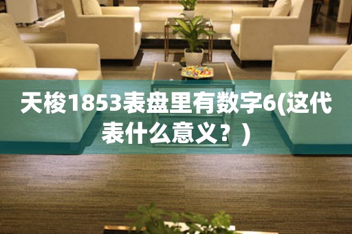 天梭1853表盤里有數(shù)字6(這代表什么意義？)