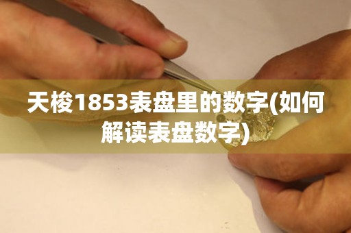 天梭1853表盤里的數(shù)字(如何解讀表盤數(shù)字)