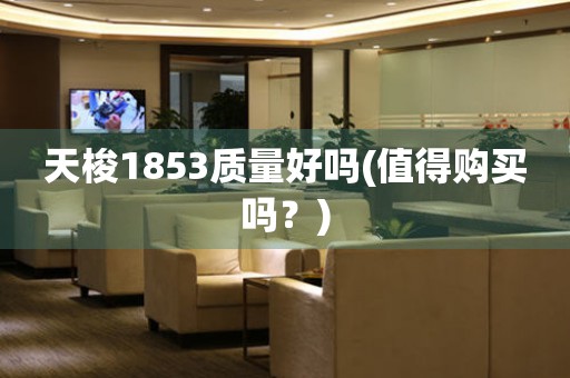 天梭1853質(zhì)量好嗎(值得購買嗎？)