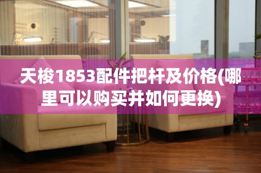 天梭1853配件把桿及價(jià)格(哪里可以購買并如何更換)