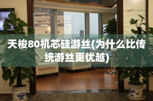 天梭80機芯硅游絲(為什么比傳統(tǒng)游絲更優(yōu)越)