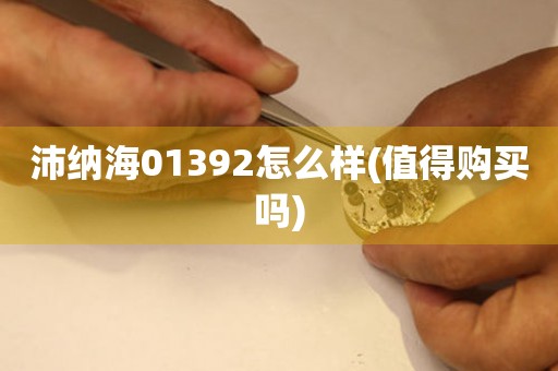 沛納海01392怎么樣(值得購買嗎)