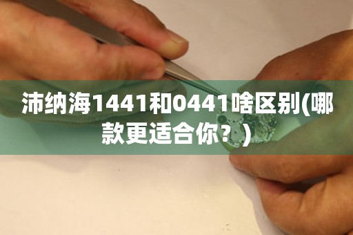 沛納海1441和0441啥區(qū)別(哪款更適合你？)
