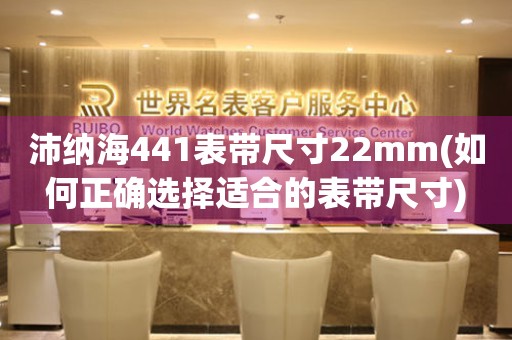 沛納海441表帶尺寸22mm(如何正確選擇適合的表帶尺寸)