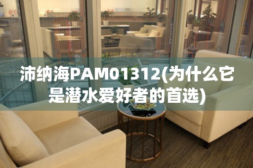 沛納海PAM01312(為什么它是潛水愛好者的首選)