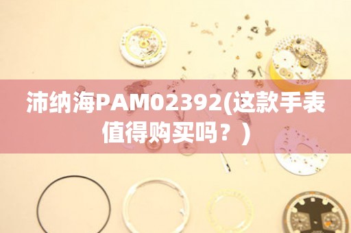 沛納海PAM02392(這款手表值得購買嗎？)