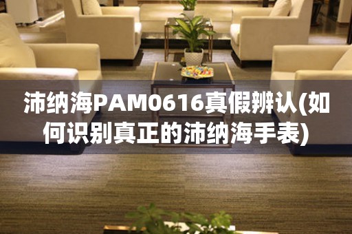 沛納海PAM0616真假辨認(如何識別真正的沛納海手表)