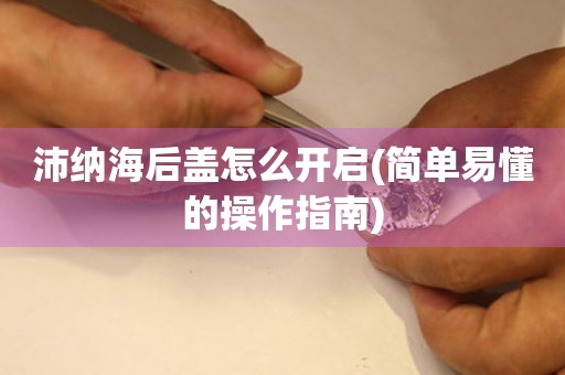 沛納海后蓋怎么開啟(簡單易懂的操作指南)