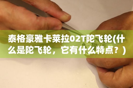泰格豪雅卡萊拉02T陀飛輪(什么是陀飛輪，它有什么特點？)