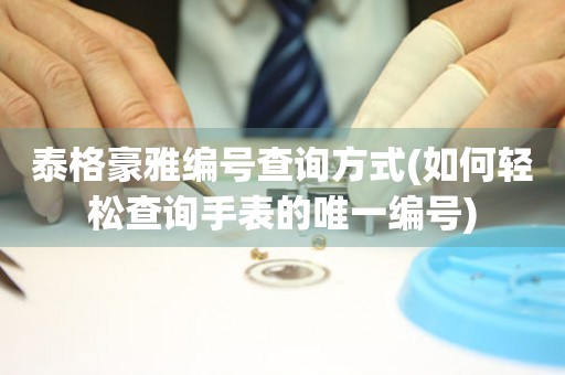 泰格豪雅編號查詢方式(如何輕松查詢手表的唯一編號)