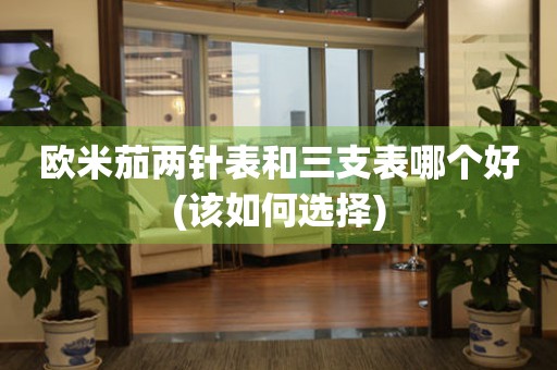歐米茄兩針表和三支表哪個好(該如何選擇)
