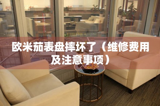 歐米茄表盤摔壞了（維修費用及注意事項）