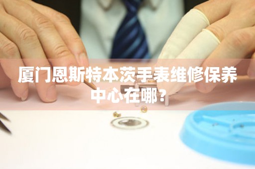 廈門恩斯特本茨手表維修保養(yǎng)中心在哪？
