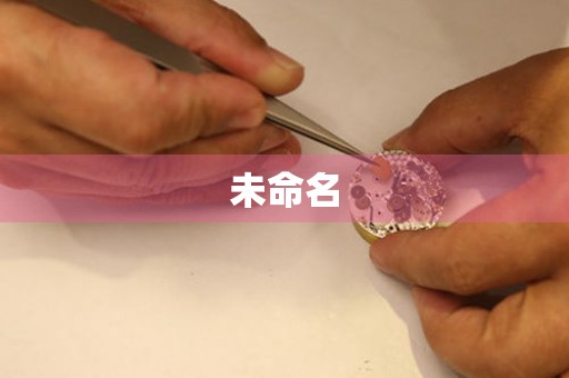 天津杜格納維修中心在哪？