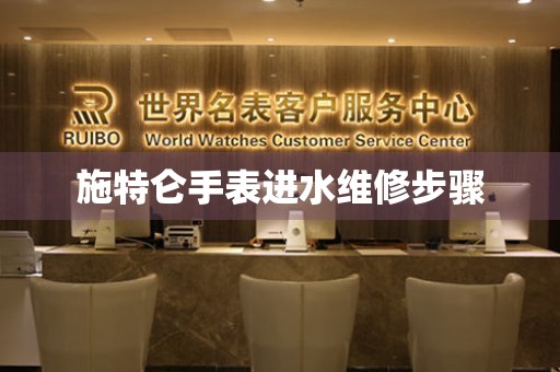 施特侖手表進水維修步驟