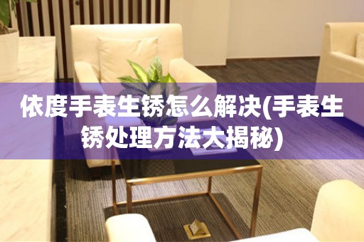 依度手表生銹怎么解決(手表生銹處理方法大揭秘)