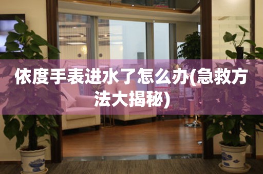 依度手表進(jìn)水了怎么辦(急救方法大揭秘)
