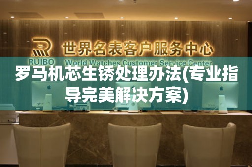 羅馬機(jī)芯生銹處理辦法(專業(yè)指導(dǎo)完美解決方案)