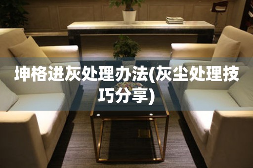 坤格進灰處理辦法(灰塵處理技巧分享)