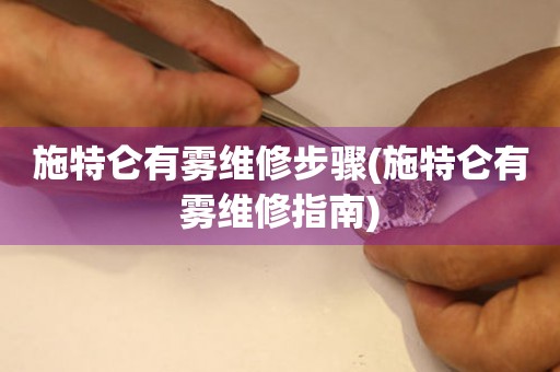 施特侖有霧維修步驟(施特侖有霧維修指南)
