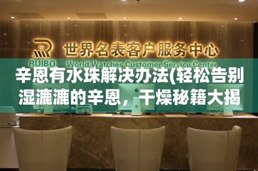 辛恩有水珠解決辦法(輕松告別濕漉漉的辛恩，干燥秘籍大揭秘)