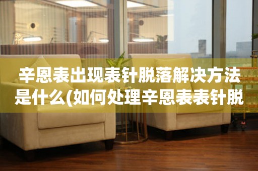 辛恩表出現(xiàn)表針脫落解決方法是什么(如何處理辛恩表表針脫落問(wèn)題)