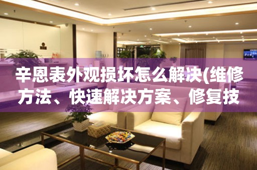 辛恩表外觀損壞怎么解決(維修方法、快速解決方案、修復(fù)技巧)