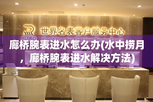 廊橋腕表進(jìn)水怎么辦(水中撈月，廊橋腕表進(jìn)水解決方法)
