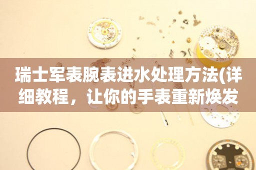 瑞士軍表腕表進(jìn)水處理方法(詳細(xì)教程，讓你的手表重新煥發(fā)光彩)