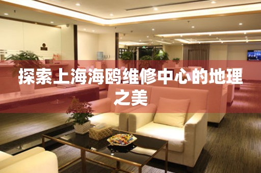 探索上海海鷗維修中心的地理之美