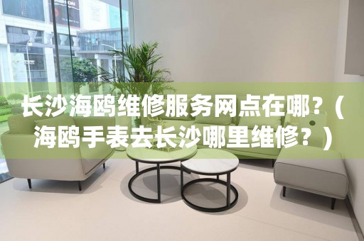 長(zhǎng)沙海鷗維修中心地址在哪里？