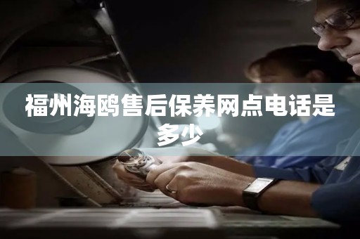 福州海鷗售后保養(yǎng)網(wǎng)點(diǎn)電話是多少