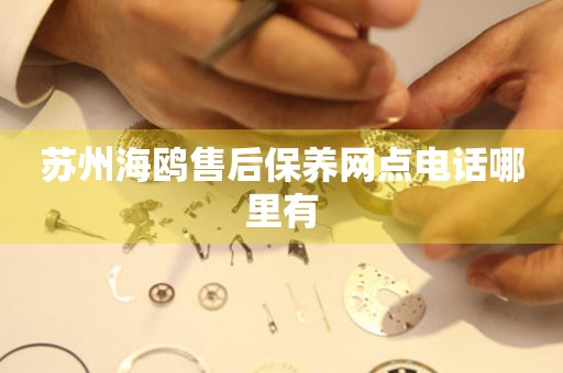 蘇州海鷗售后保養(yǎng)網(wǎng)點(diǎn)電話哪里有
