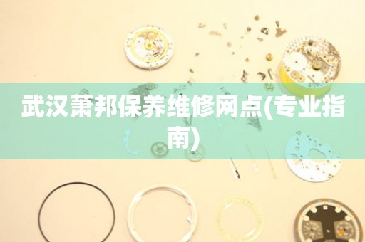 武漢蕭邦保養(yǎng)維修網(wǎng)點(diǎn)(專業(yè)指南)