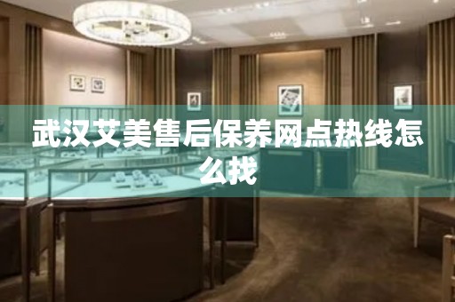 武漢艾美售后保養(yǎng)網點熱線怎么找