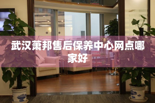 武漢蕭邦售后保養(yǎng)中心網點哪家好