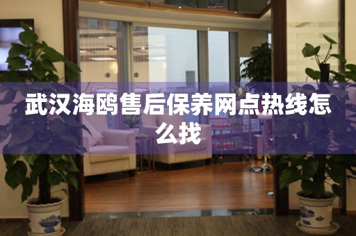 武漢海鷗售后保養(yǎng)網點熱線怎么找