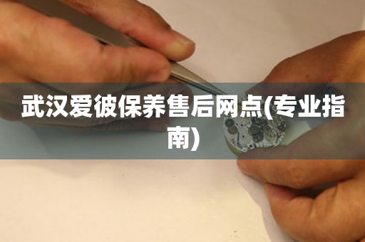 武漢愛彼保養(yǎng)售后網(wǎng)點(diǎn)(專業(yè)指南)