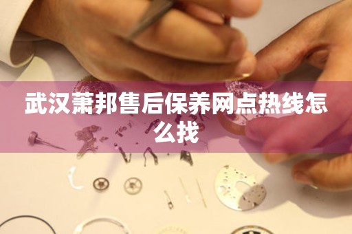 武漢蕭邦售后保養(yǎng)網(wǎng)點(diǎn)熱線怎么找