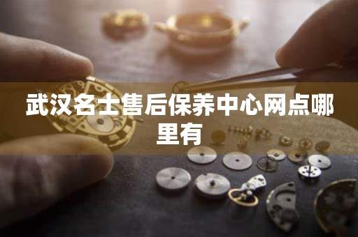 武漢名士售后保養(yǎng)中心網(wǎng)點哪里有