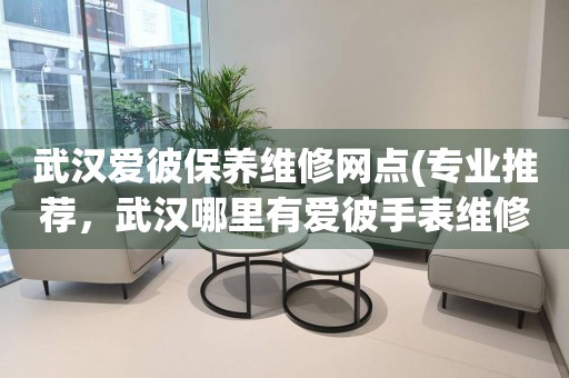 武漢愛彼保養(yǎng)維修網(wǎng)點(diǎn)(專業(yè)推薦，武漢哪里有愛彼手表維修服務(wù))