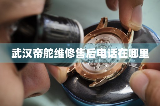 武漢帝舵維修售后電話在哪里