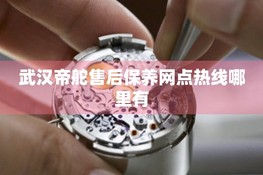 武漢帝舵售后保養(yǎng)網(wǎng)點(diǎn)熱線哪里有