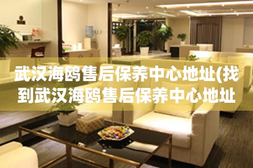 武漢海鷗售后保養(yǎng)中心地址(找到武漢海鷗售后保養(yǎng)中心地址的方法)