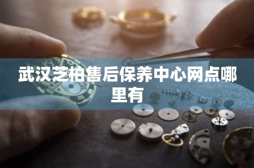 武漢芝柏售后保養(yǎng)中心網(wǎng)點(diǎn)哪里有