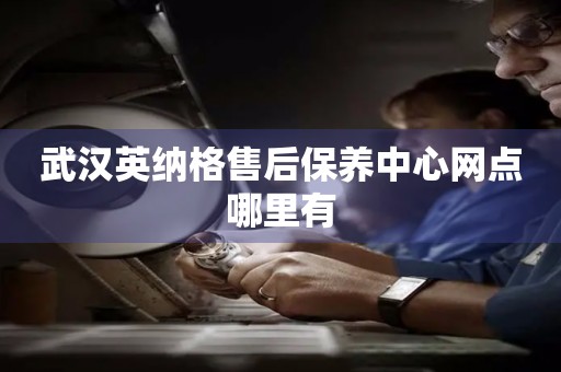 武漢英納格售后保養(yǎng)中心網(wǎng)點(diǎn)哪里有